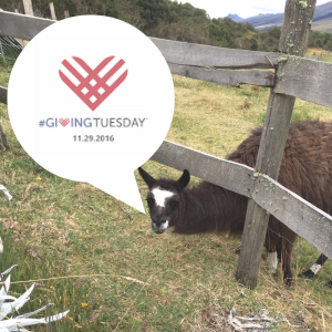 giving-tuesday-2016