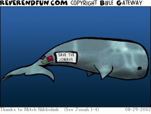 Save the Jonahs