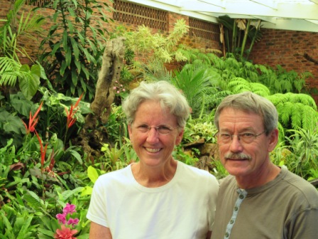 blog Durban arboretum orchid house