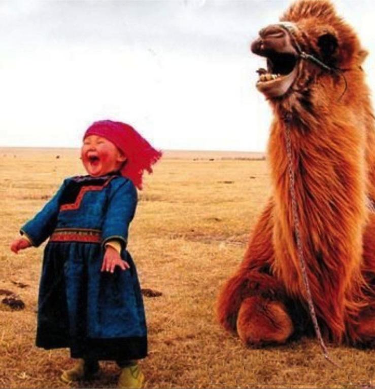 girl-and-laughing-camel-2