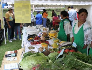 la-bioferia-llega-al-parque-bicentenario--20131017092059-c0dcd6a0891fe70db8edbebfc70c64b6