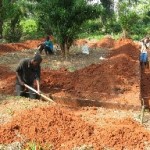 digging-ekstrand-foundation