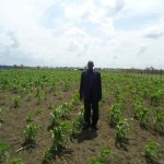 Matthew Jock in corn field