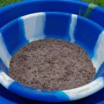 combo of 2 basins for germination