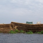 floating cane downriver to market crop