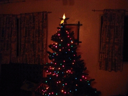 The tree has been put together and the lights added - it still needs garland and ornaments in the days ahead.