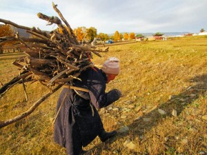 stack loaded mongolia