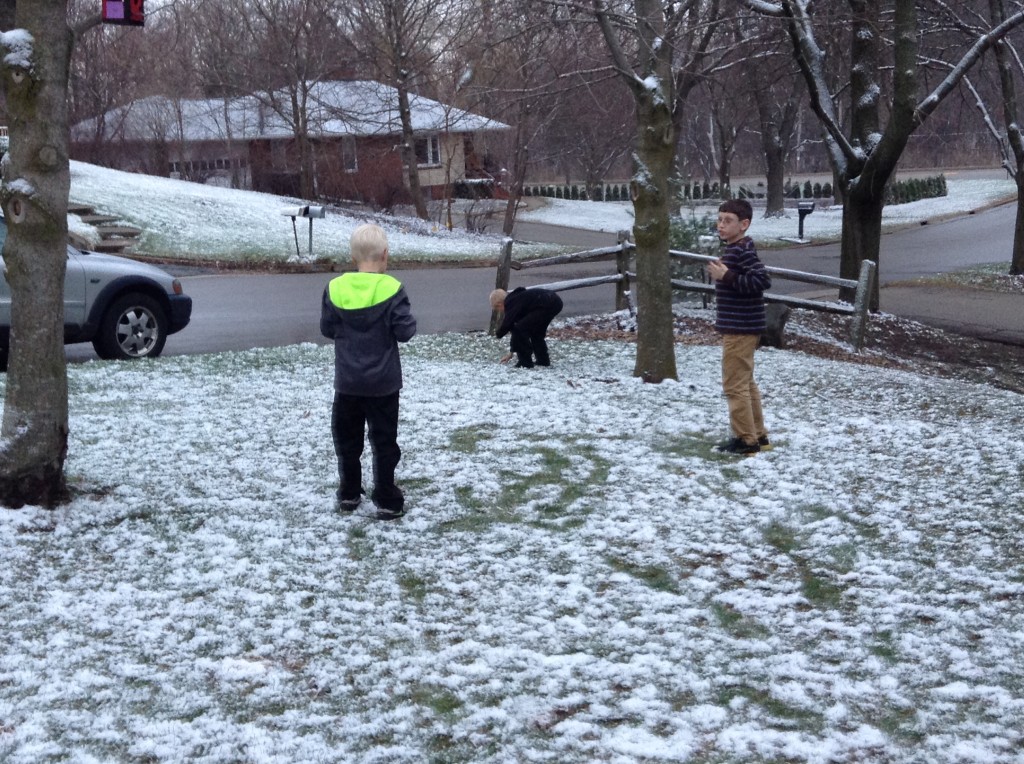 The boys got to play with snow during a visit to see friends in Lake Geneva, WI