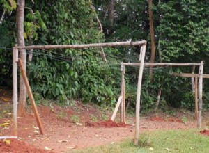 Temporary bamboo clothesline