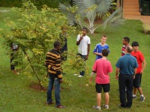 Students gathered around a starfruit tree looking for ripe fruit.