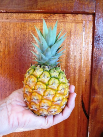 blog bamogigi pineapple 3.14