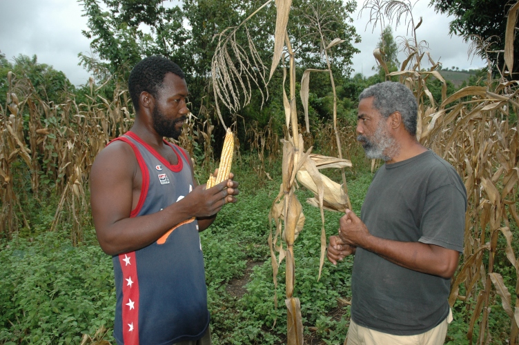 Agriculture In Haiti | CWR Blog | CWR Blog