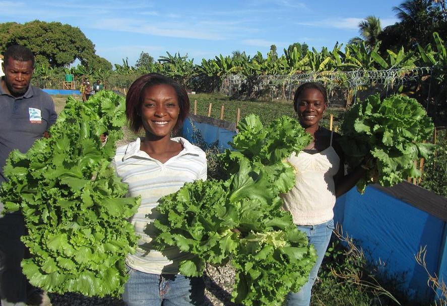 Haiti Agriculture Let it Grow! CWR Blog CWR Blog