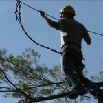 crossing-the-high-wire-close