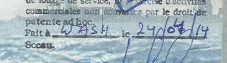 Close-up of Visa Date